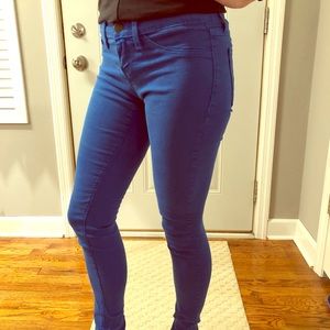 Blue Flying Monkey Skinnies
